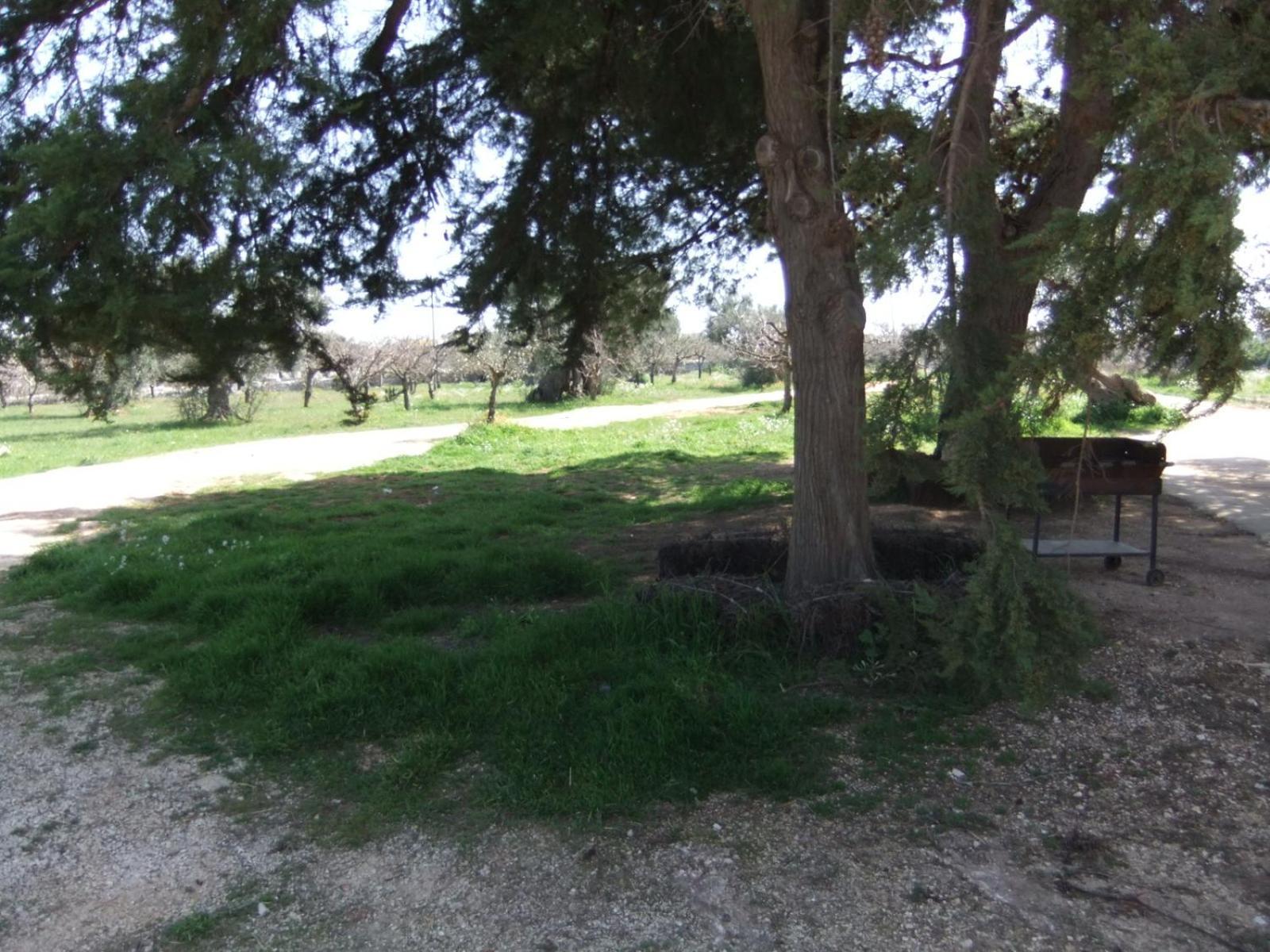 Masseria La Luna Nel Pozzo Castellana Grotte Dış mekan fotoğraf